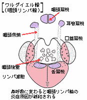 image1kousyu.gif